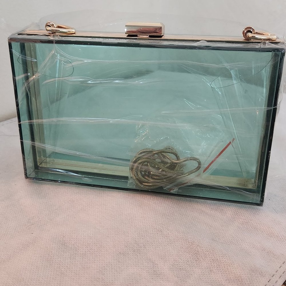 Clear acrylic clutch purse with detachable strap
